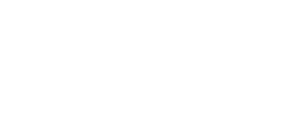 Focus Web Group White Logo